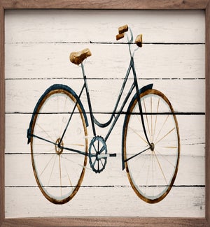 Bike Whitewash